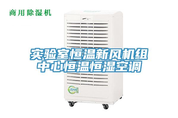 實驗室恒溫新風機組中心恒溫恒濕空調(diào)