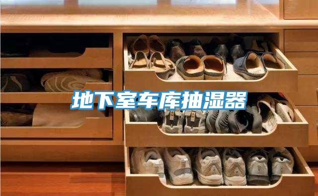 地下室車(chē)庫(kù)抽濕器
