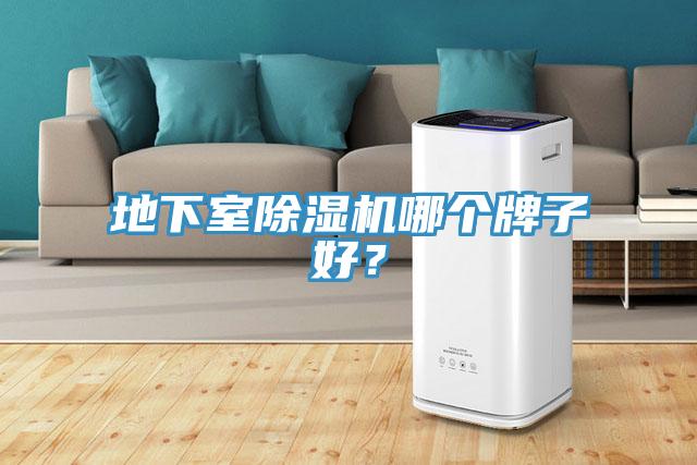 地下室除濕機(jī)哪個(gè)牌子好？