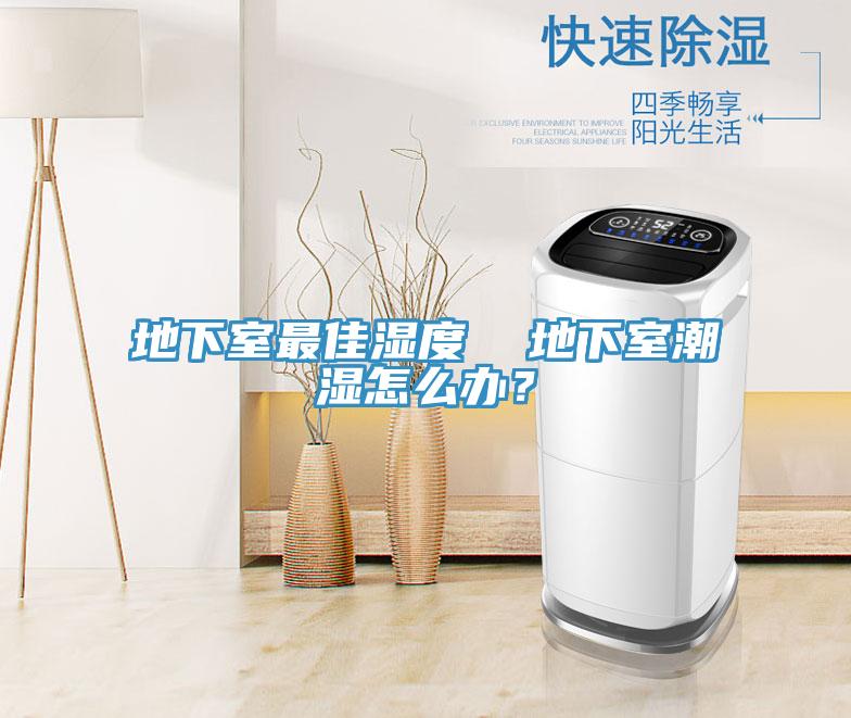 地下室最佳濕度  地下室潮濕怎么辦？
