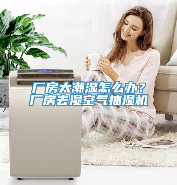 廠房太潮濕怎么辦？廠房去濕空氣抽濕機