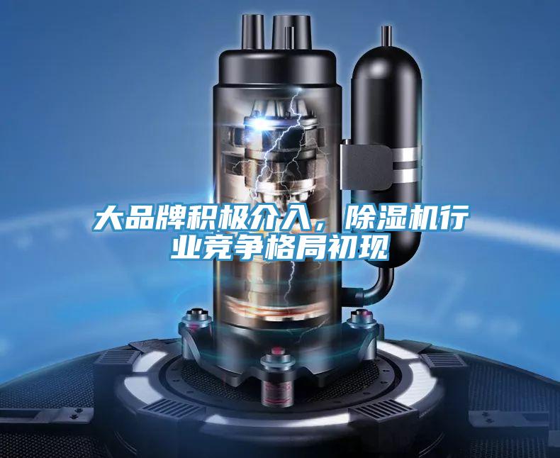 大品牌積極介入，除濕機(jī)行業(yè)競(jìng)爭(zhēng)格局初現(xiàn)