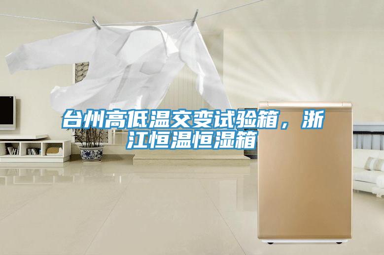 臺州高低溫交變試驗(yàn)箱，浙江恒溫恒濕箱