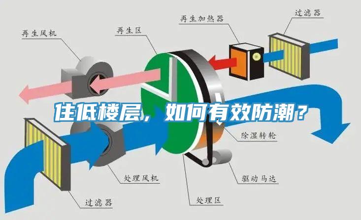 住低樓層，如何有效防潮？