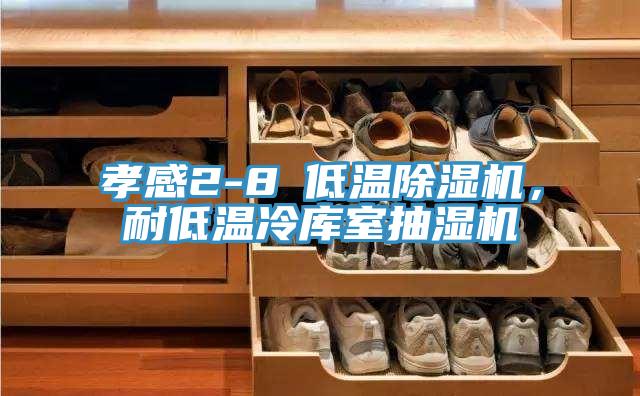 孝感2-8℃低溫除濕機，耐低溫冷庫室抽濕機