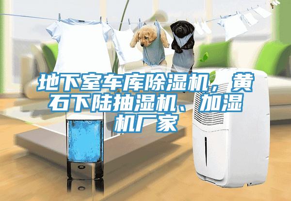 地下室車(chē)庫(kù)除濕機(jī)，黃石下陸抽濕機(jī)、加濕機(jī)廠家