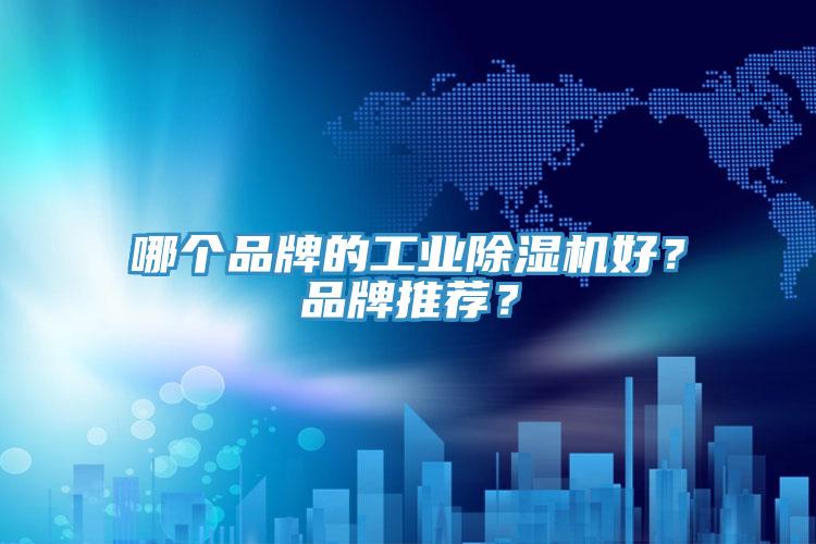 哪個品牌的工業(yè)除濕機好？品牌推薦？