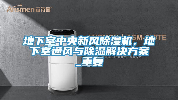地下室中央新風(fēng)除濕機，地下室通風(fēng)與除濕解決方案_重復(fù)