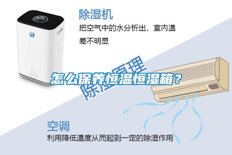 怎么保養(yǎng)恒溫恒濕箱？