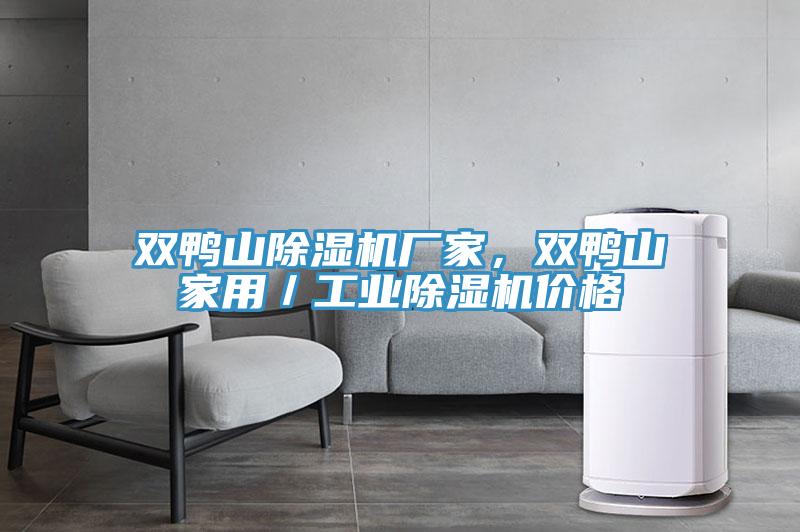 雙鴨山除濕機(jī)廠家，雙鴨山家用／工業(yè)除濕機(jī)價(jià)格