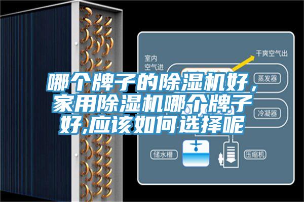 哪個牌子的除濕機好，家用除濕機哪個牌子好,應該如何選擇呢