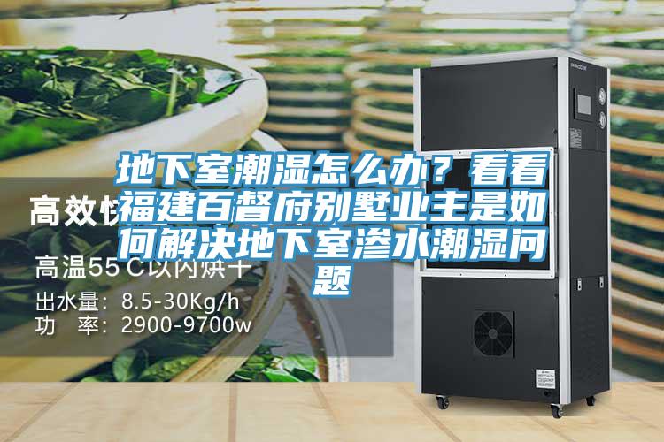 地下室潮濕怎么辦？看看福建百督府別墅業(yè)主是如何解決地下室滲水潮濕問題