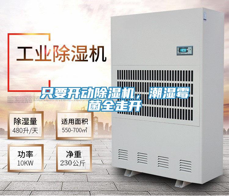 只要開動除濕機，潮濕霉菌全走開
