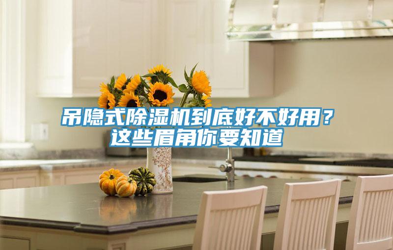 吊隱式除濕機(jī)到底好不好用？這些眉角你要知道