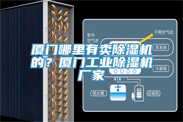 廈門哪里有賣除濕機的？廈門工業(yè)除濕機廠家
