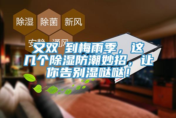 又雙叒到梅雨季，這幾個除濕防潮妙招，讓你告別濕噠噠！