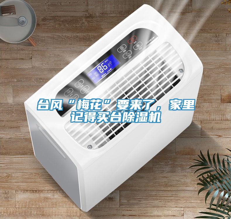 臺風“梅花”要來了，家里記得買臺除濕機