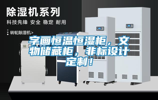 字畫恒溫恒濕柜，文物儲藏柜，非標(biāo)設(shè)計定制！