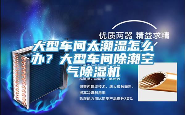 大型車(chē)間太潮濕怎么辦？大型車(chē)間除潮空氣除濕機(jī)