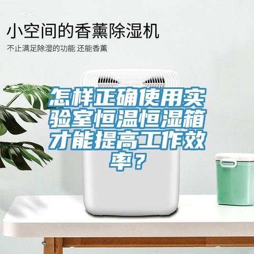 怎樣正確使用實(shí)驗(yàn)室恒溫恒濕箱才能提高工作效率？