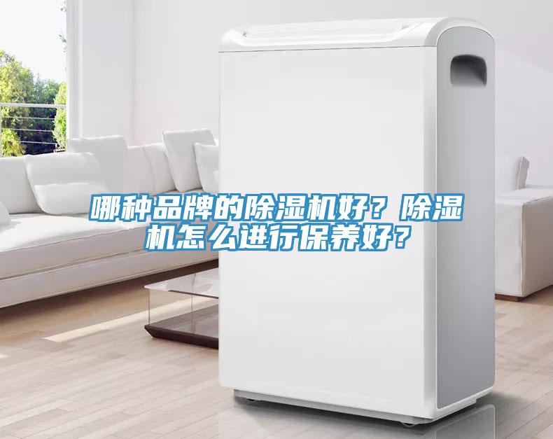 哪種品牌的除濕機好？除濕機怎么進行保養(yǎng)好？
