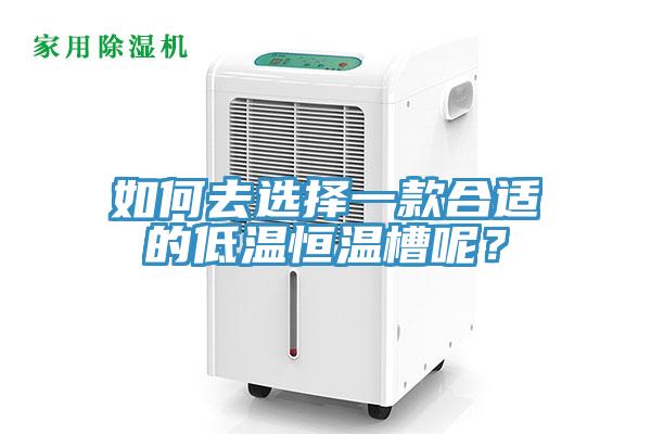 如何去選擇一款合適的低溫恒溫槽呢？