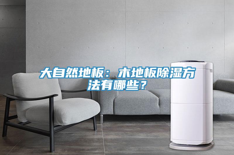 大自然地板：木地板除濕方法有哪些？