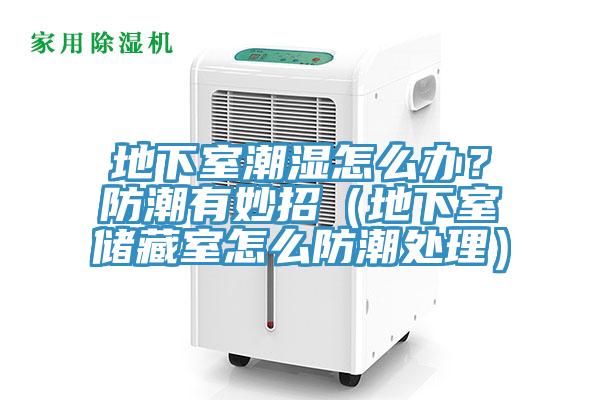 地下室潮濕怎么辦？防潮有妙招（地下室儲藏室怎么防潮處理）