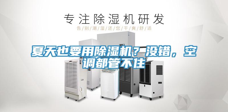夏天也要用除濕機？沒錯，空調(diào)都管不住