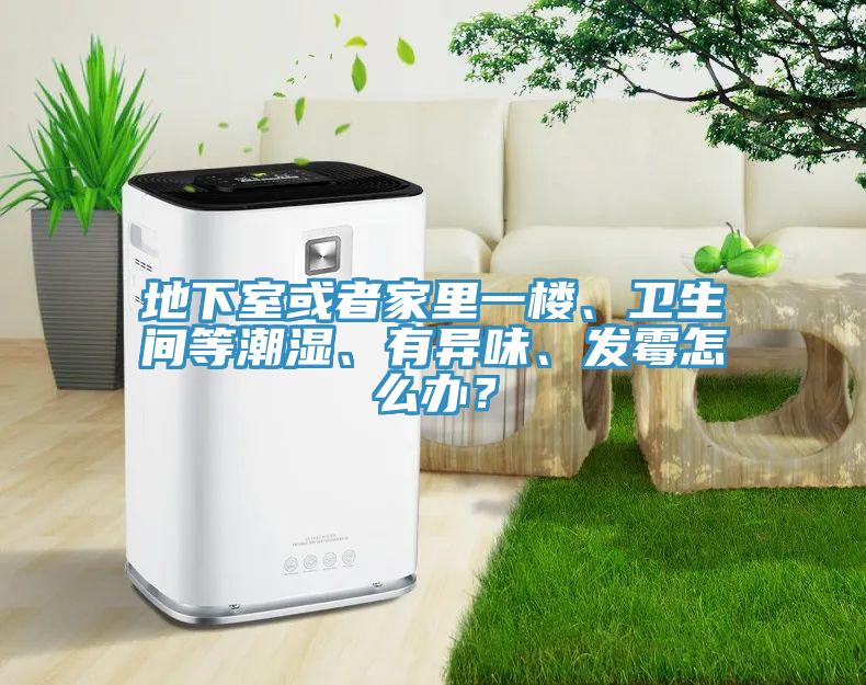 地下室或者家里一樓、衛(wèi)生間等潮濕、有異味、發(fā)霉怎么辦？