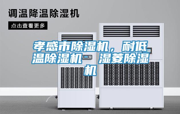 孝感市除濕機，耐低溫除濕機  濕菱除濕機