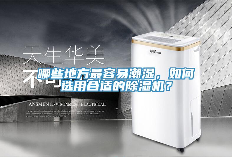 哪些地方最容易潮濕，如何選用合適的除濕機(jī)？
