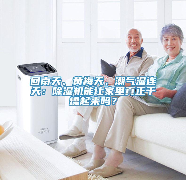 回南天、黃梅天，潮氣濕連天：除濕機(jī)能讓家里真正干燥起來(lái)嗎？