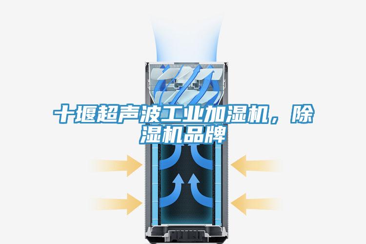 十堰超聲波工業(yè)加濕機(jī)，除濕機(jī)品牌