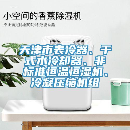 天津市表冷器、干式水冷卻器、非標(biāo)準(zhǔn)恒溫恒濕機(jī)、冷凝壓縮機(jī)組