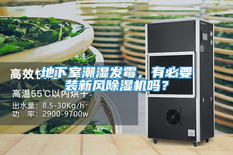 地下室潮濕發(fā)霉，有必要裝新風(fēng)除濕機(jī)嗎？