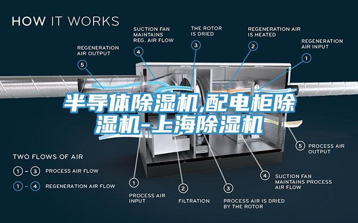 半導(dǎo)體除濕機,配電柜除濕機-上海除濕機