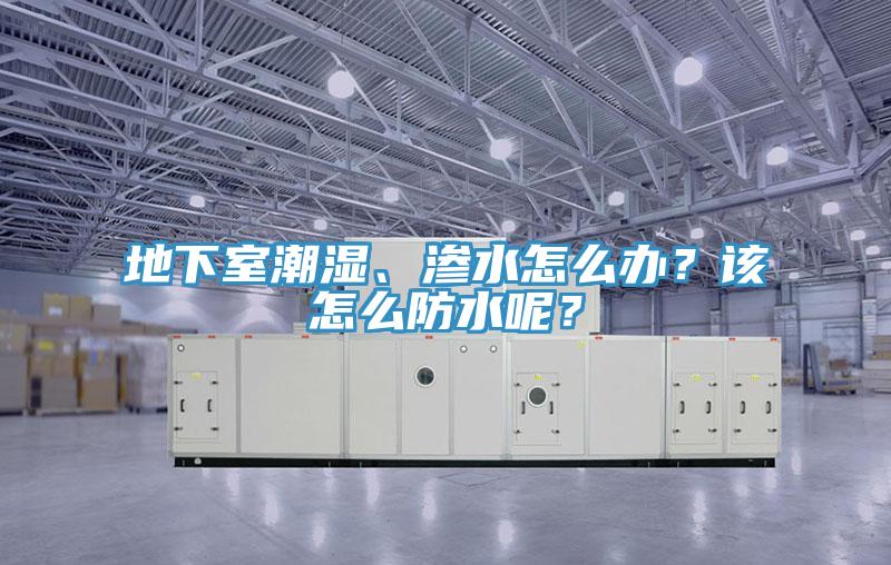 地下室潮濕、滲水怎么辦？該怎么防水呢？