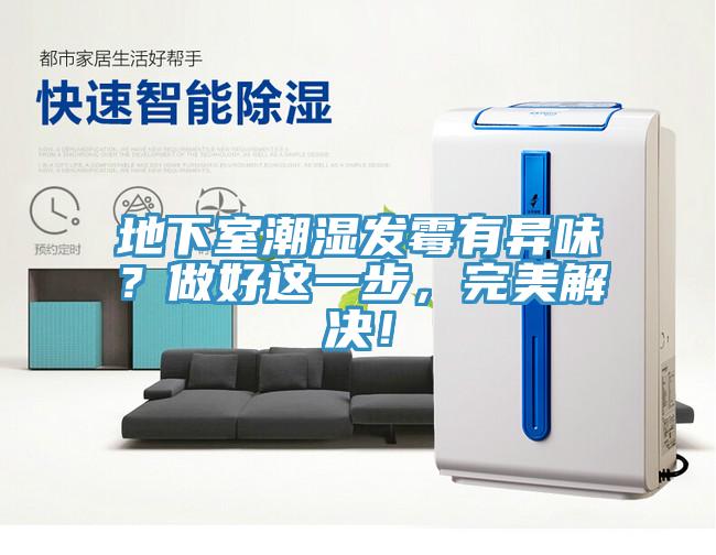 地下室潮濕發(fā)霉有異味？做好這一步，完美解決！