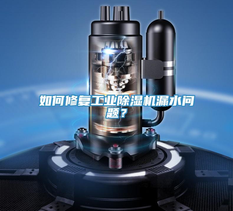 如何修復(fù)工業(yè)除濕機(jī)漏水問(wèn)題？