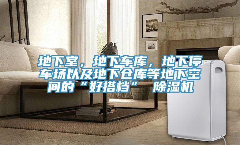 地下室，地下車庫(kù)，地下停車場(chǎng)以及地下倉(cāng)庫(kù)等地下空間的“好搭檔” 除濕機(jī)
