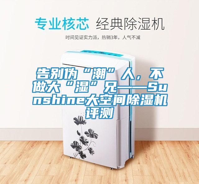 告別偽“潮”人，不做大“濕”兄——Sunshine大空間除濕機評測