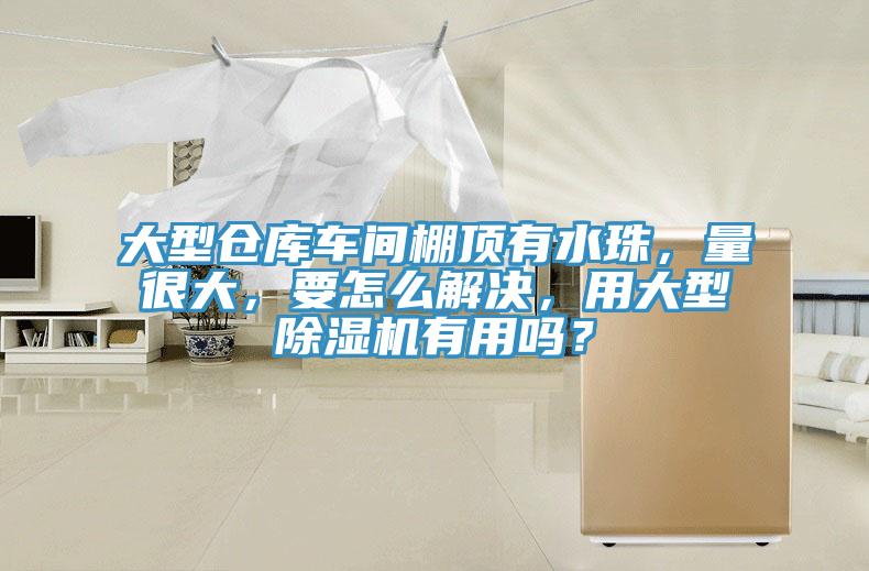 大型倉庫車間棚頂有水珠，量很大，要怎么解決，用大型除濕機有用嗎？