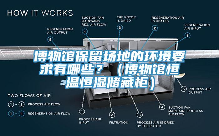 博物館保留場地的環(huán)境要求有哪些？（博物館恒溫恒濕儲藏柜）