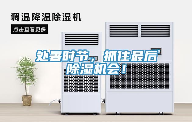 處暑時節(jié)，抓住最后除濕機會！