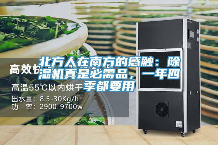 北方人在南方的感觸：除濕機真是必需品，一年四季都要用