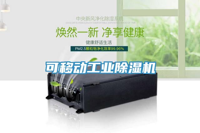 可移動(dòng)工業(yè)除濕機(jī)