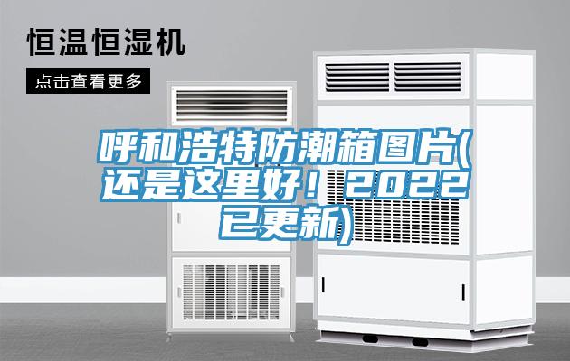 呼和浩特防潮箱圖片(還是這里好！2022已更新)