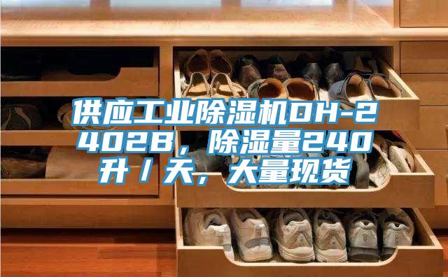 供應(yīng)工業(yè)除濕機DH-2402B，除濕量240升／天，大量現(xiàn)貨