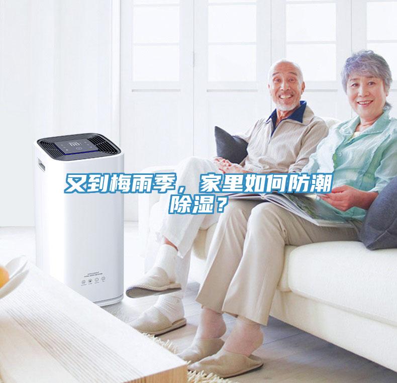 又到梅雨季，家里如何防潮除濕？